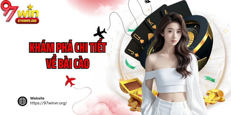Khám phá chi tiết về bài cào
